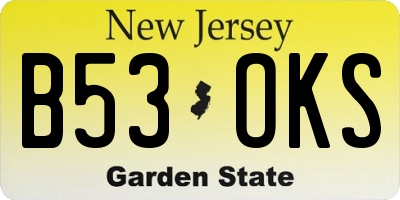 NJ license plate B53OKS