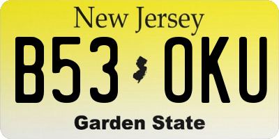 NJ license plate B53OKU