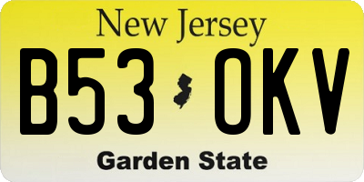 NJ license plate B53OKV