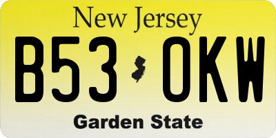 NJ license plate B53OKW