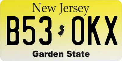 NJ license plate B53OKX