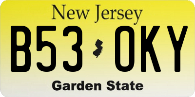 NJ license plate B53OKY