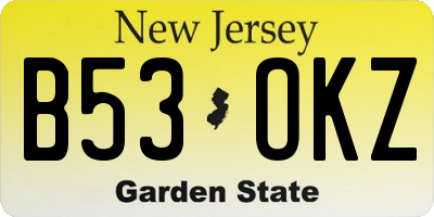 NJ license plate B53OKZ
