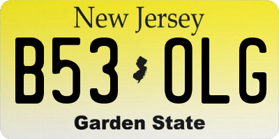 NJ license plate B53OLG