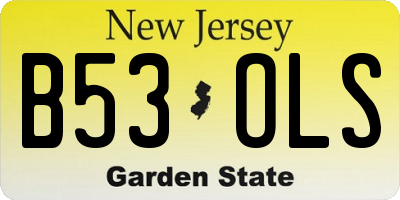 NJ license plate B53OLS