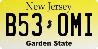 NJ license plate B53OMI