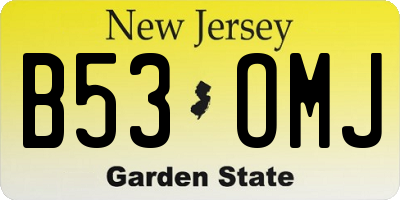 NJ license plate B53OMJ