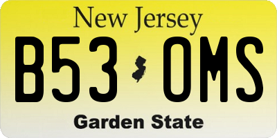 NJ license plate B53OMS