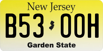 NJ license plate B53OOH