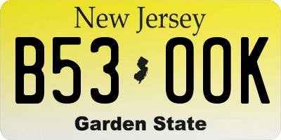NJ license plate B53OOK