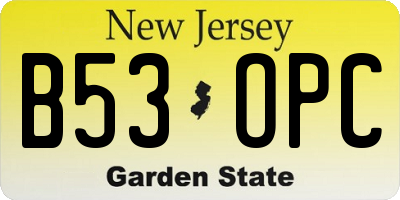 NJ license plate B53OPC