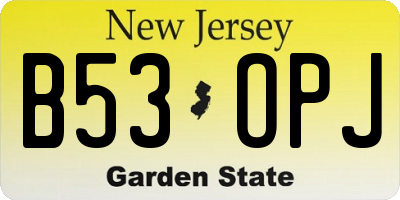 NJ license plate B53OPJ
