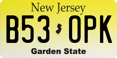 NJ license plate B53OPK