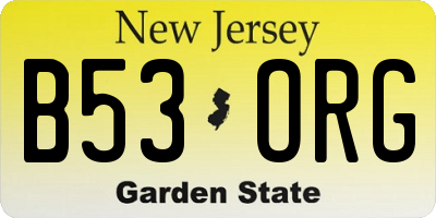 NJ license plate B53ORG