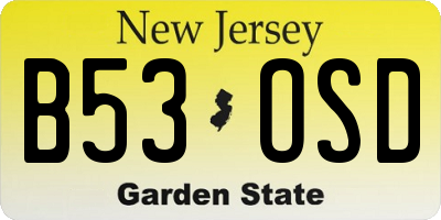 NJ license plate B53OSD