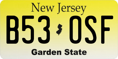 NJ license plate B53OSF