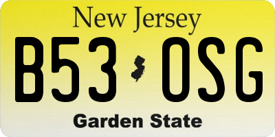 NJ license plate B53OSG
