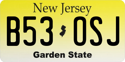 NJ license plate B53OSJ