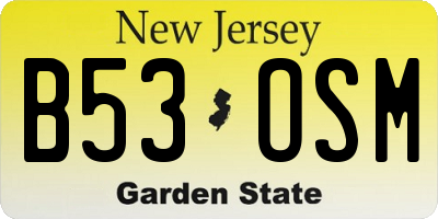 NJ license plate B53OSM