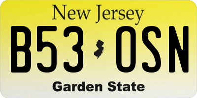 NJ license plate B53OSN