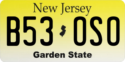 NJ license plate B53OSO