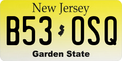 NJ license plate B53OSQ