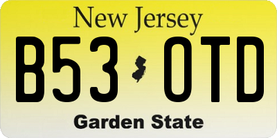 NJ license plate B53OTD