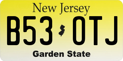 NJ license plate B53OTJ