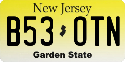 NJ license plate B53OTN