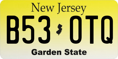 NJ license plate B53OTQ