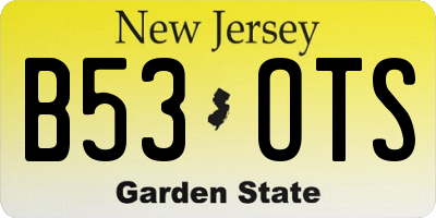 NJ license plate B53OTS