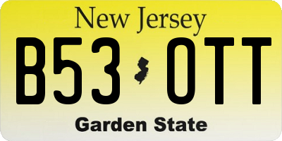 NJ license plate B53OTT