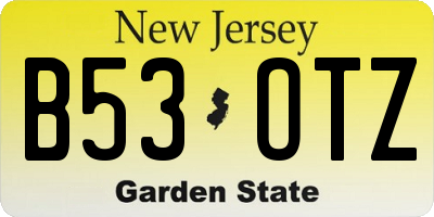 NJ license plate B53OTZ