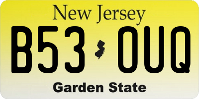 NJ license plate B53OUQ