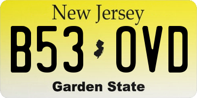NJ license plate B53OVD