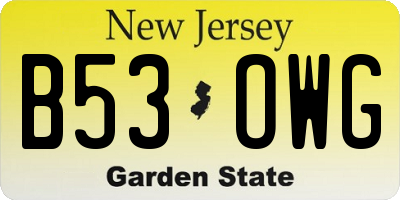 NJ license plate B53OWG