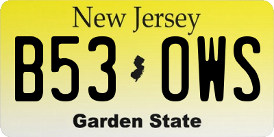 NJ license plate B53OWS