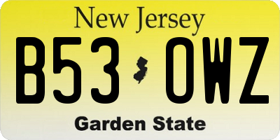 NJ license plate B53OWZ