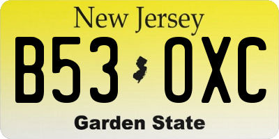 NJ license plate B53OXC