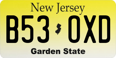 NJ license plate B53OXD