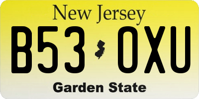 NJ license plate B53OXU