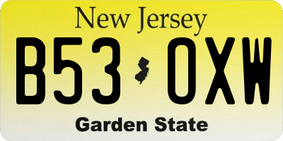 NJ license plate B53OXW