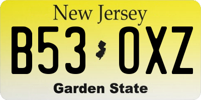 NJ license plate B53OXZ