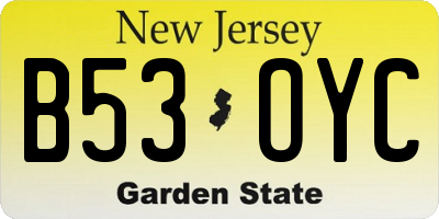 NJ license plate B53OYC