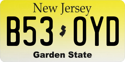 NJ license plate B53OYD