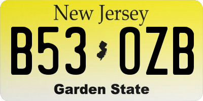 NJ license plate B53OZB
