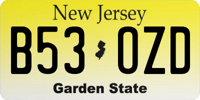 NJ license plate B53OZD