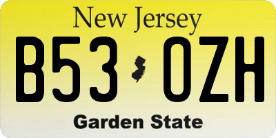 NJ license plate B53OZH
