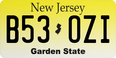 NJ license plate B53OZI