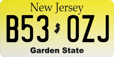 NJ license plate B53OZJ